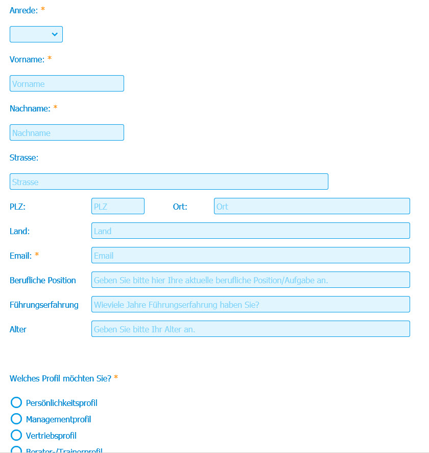 SIZE Success Online Fragebogen