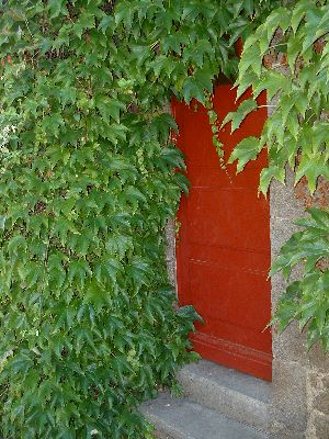 Kollegiale Beratung und Aus- und Weiterbildung