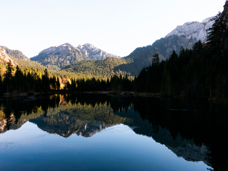 Wo geht der Weg hin?